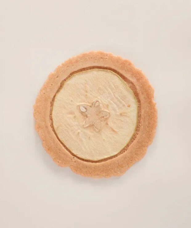 菓匠 長良園　美濃菓蔵 　りんご