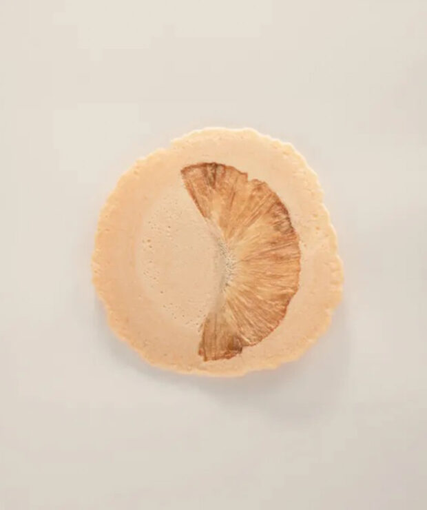 菓匠 長良園　美濃菓蔵 オレンジ