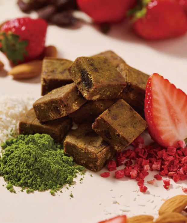 nagaraen Wellness　SOY Concept bits ストロベリー＆抹茶